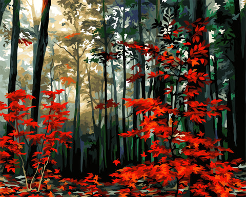 Paint by number kit: A140 Morning in the autumn forest 40*50