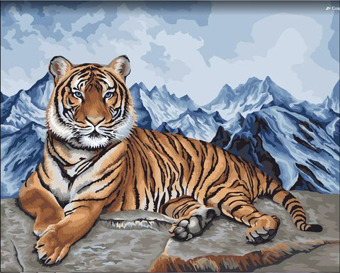 Paint by number kit: Amur tiger 40x50 cm H090