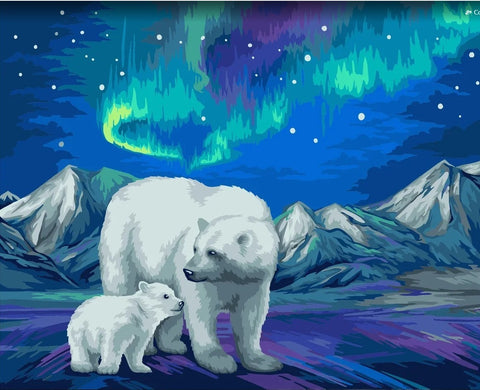 Paint by number kit: Aurora Borealis 40x50 cm H095