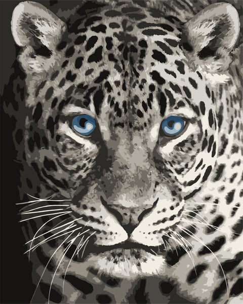 Paint by number kit: F012 Blue eyed leopard 40*50