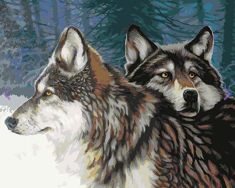 Paint by number kit: Gaze of the Wolf 40x50 cm T033