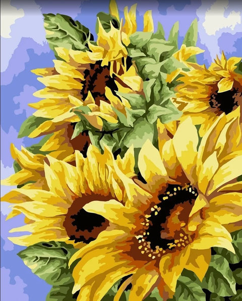 Paint by number kit: Golden sunflowers 40x50 cm B136