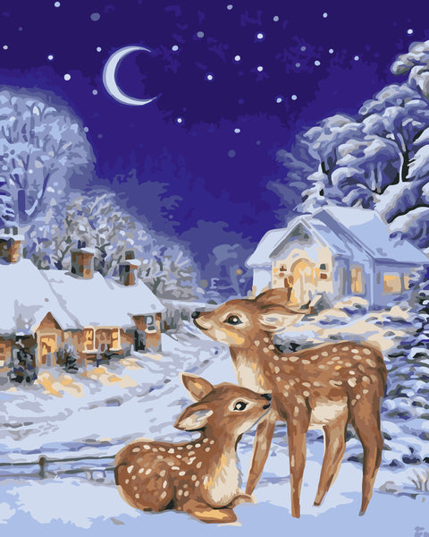 Paint by number kit: L037 Christmas Eve 40*50