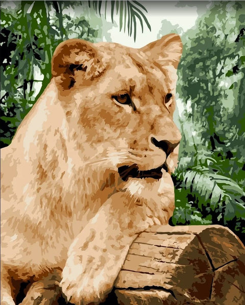 Paint by number kit: Lioness 40x50 cm H151