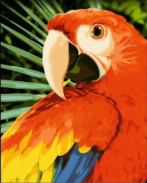 Paint by number kit: Macaw 40x50 cm H154