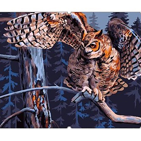 Paint by number kit: Night Owl 40x50 cm T028