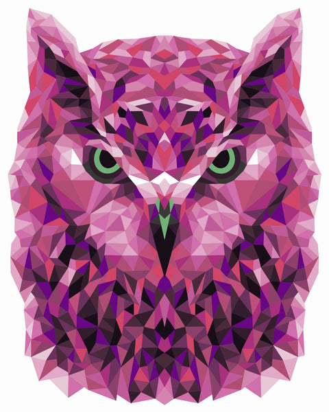 Paint by number kit: P002 Owl (polygon style) 40*50