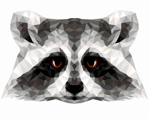 Paint by number kit: P006 Raccoon (polygon style) 40*50