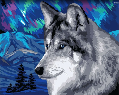 Paint by number kit: Polar wolf 40x50 cm H150