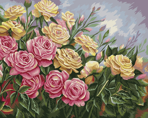 Paint by number kit: Roses 40x50 cm B062