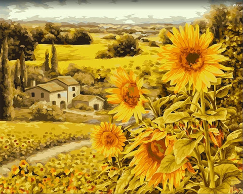 Paint by number kit: Sunlit fields 40x50 cm A149