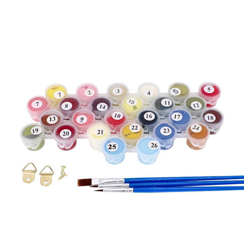 Paint By Numbers Kit 101