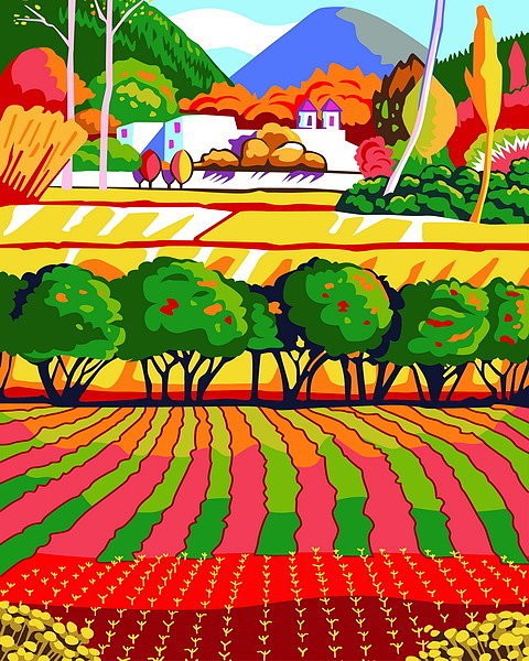 Paint by Numbers kit Rainbow Field 50x40 cm T50400195