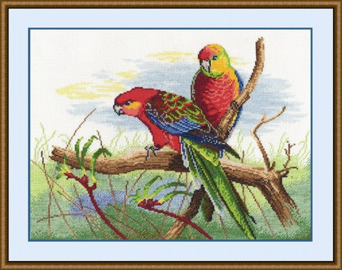 Parrots S509