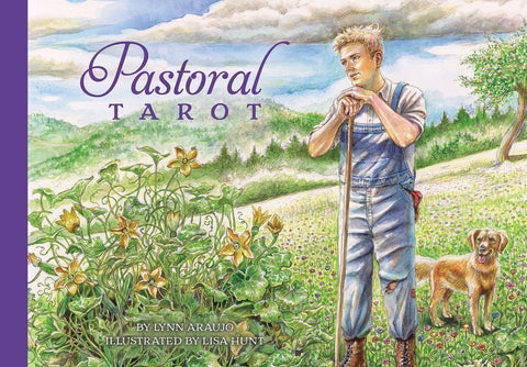 Pastoral Tarot Cards and Book set US Games Systems