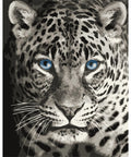 Paint by number kit: F012 Blue eyed leopard