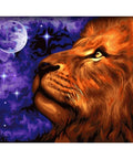 Paint by number kit: Moon Kingdom H073