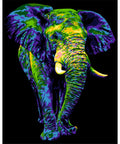 Paint by number kit: H135 Mysterious Elephant
