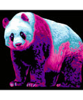 Paint by number kit: H137 Neon Panda