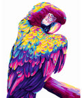 Paint by number kit: H140 Parrot Pop Art