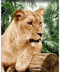 Paint by number kit: Lioness H151