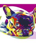 Paint by number kit: French Bulldog MINI017