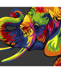 Paint by number kit: Rainbow elephant MINI032