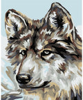 Paint by number kit: Grey wolf MINI036