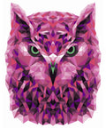 Paint by number kit: P002 Owl (polygon style)