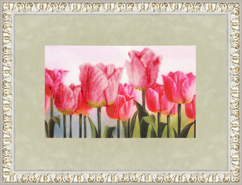 Pink tulips S/KN003