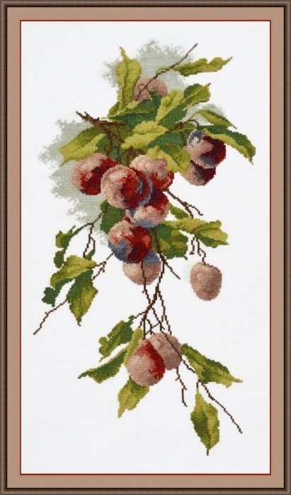 Plums S739