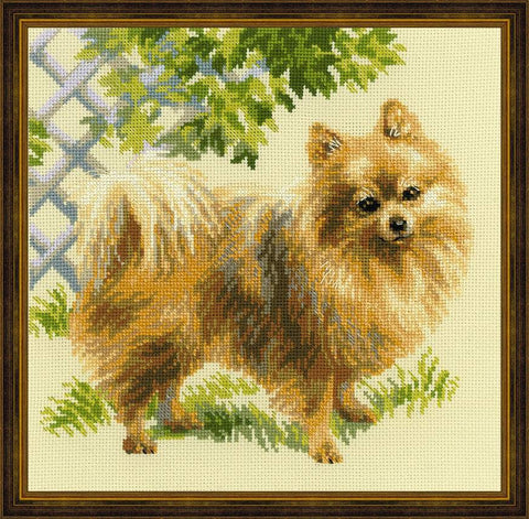 Pomeranian - Cross Stitch Kit from RIOLIS Ref. no.:1585