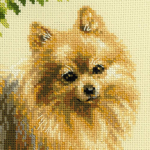 Pomeranian - Cross Stitch Kit from RIOLIS Ref. no.:1585