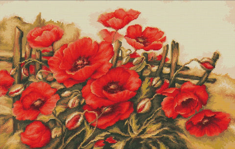 Poppies of field SB490 - Cross Stitch Kit by Luca-s