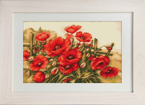 Poppies of field SG490 - Cross Stitch Kit by Luca-s