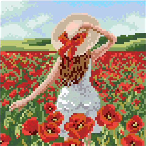 Poppy Field 20х20 Diamond Painting Set Cs2627