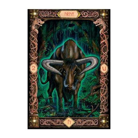 Power Of The Runes cards US Games Systems