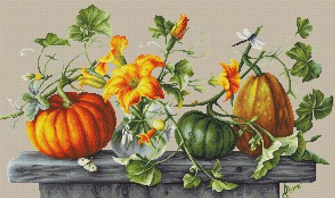 Pumpkin SB2303 - Cross Stitch Kit by Luca-s