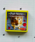 Inspirational Pup Notes 60 Notes Of Dog Love And Joy Cards US Games Systems