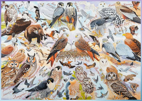 Puzzle 1000 Birds of Prey