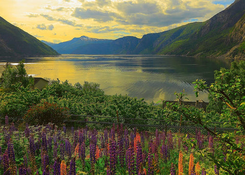 Puzzle 1000 Fjord in Norway