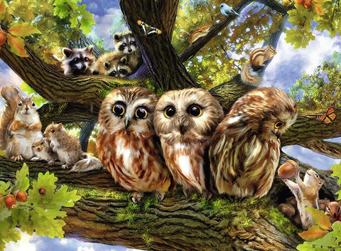 Puzzle 200 - Cute Owls