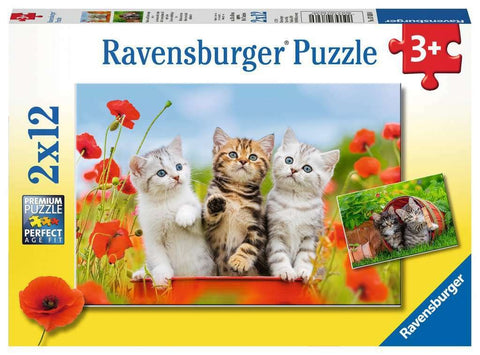 Puzzle 2x12 Kittens