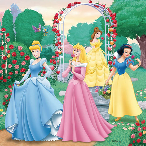 Puzzle 3X49 Princeses