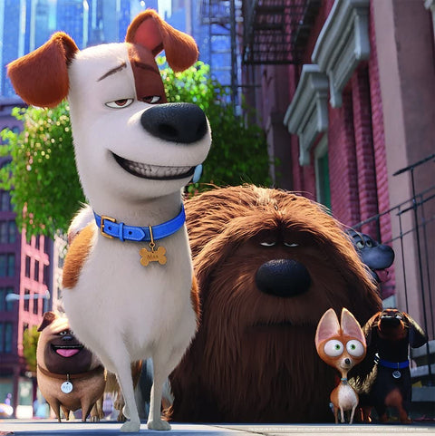 Puzzle 3X49 Secret Life of Pets