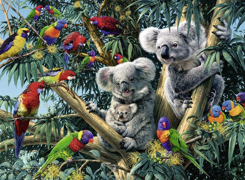 Puzzle 500 Koalas