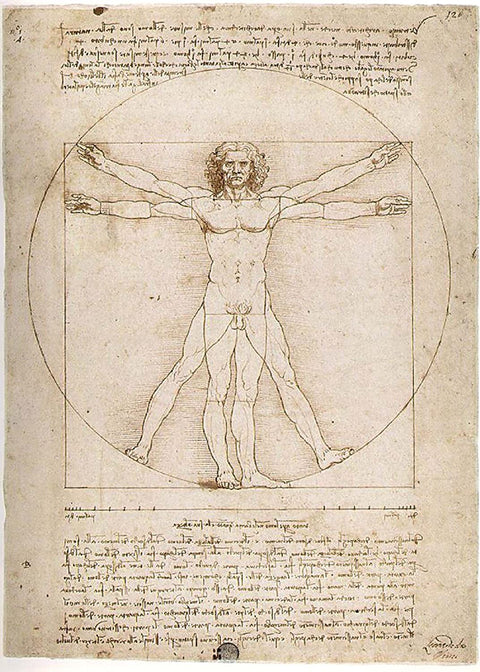 Puzzle Art 1000 Vitruvian Man