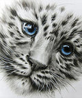 Diamond painting kit WD2342 38x38 cm - Hobby.lt