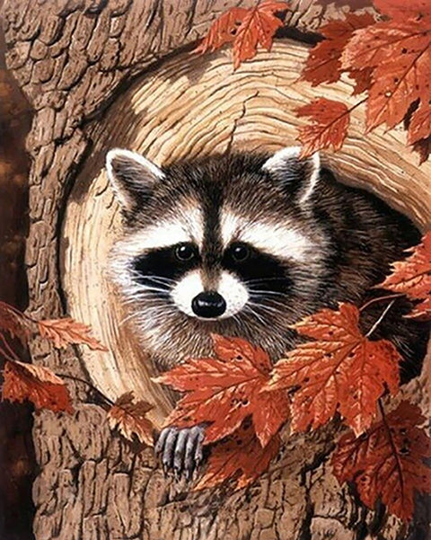 Racoon in the Tree Diamond Painting Set CS2561