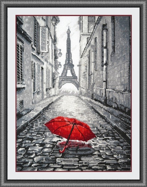 Rain in Paris S868